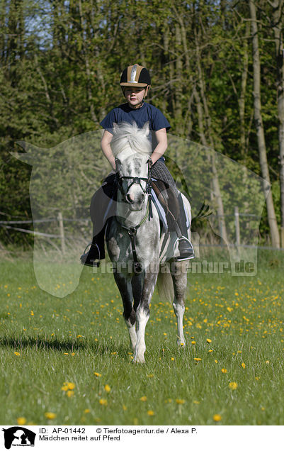 Mdchen reitet auf Pferd / AP-01442