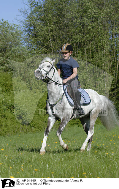 Mdchen reitet auf Pferd / AP-01445