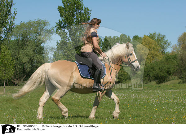 Frau reitet Haflinger / woman rides Haflinger horse / SS-08506