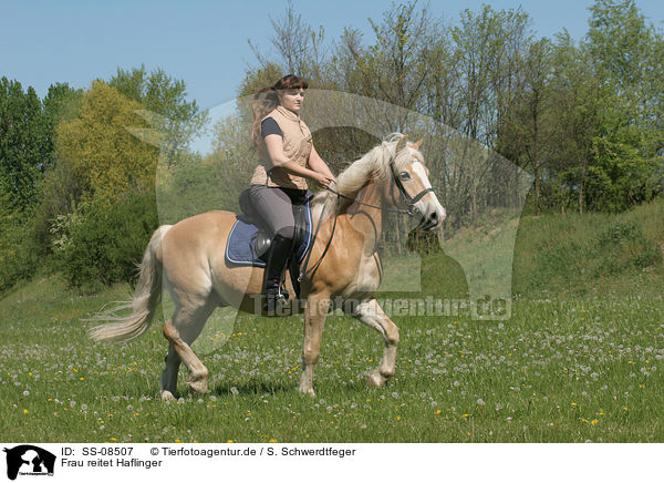 Frau reitet Haflinger / woman rides Haflinger horse / SS-08507