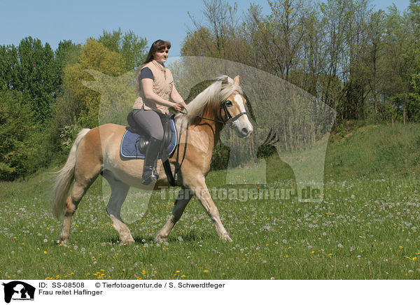 Frau reitet Haflinger / woman rides Haflinger horse / SS-08508