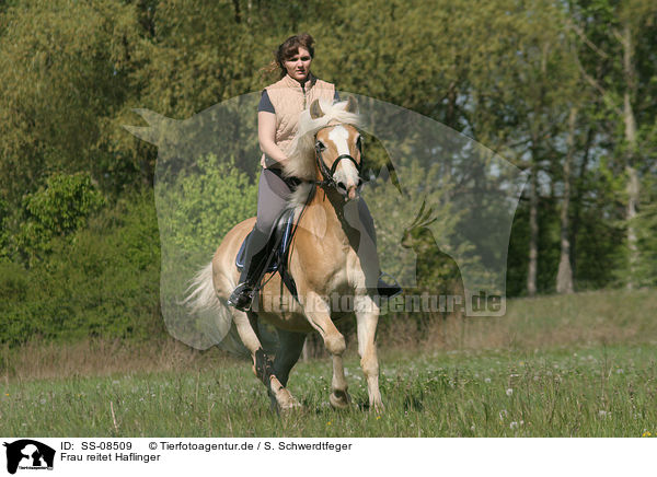 Frau reitet Haflinger / woman rides Haflinger horse / SS-08509