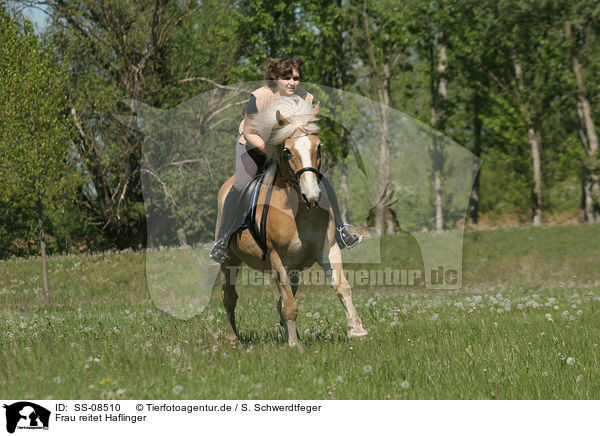 Frau reitet Haflinger / woman rides Haflinger horse / SS-08510
