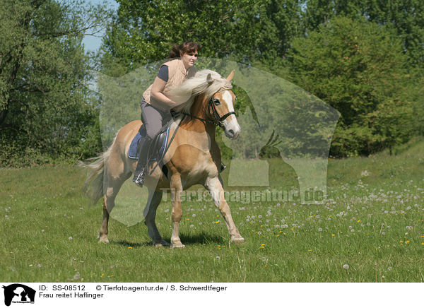 Frau reitet Haflinger / woman rides Haflinger horse / SS-08512