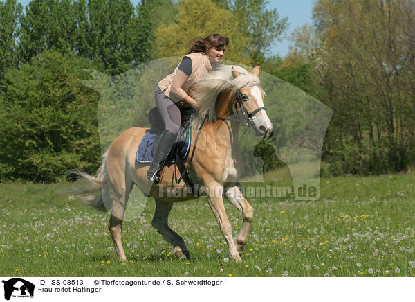 Frau reitet Haflinger / woman rides Haflinger horse / SS-08513