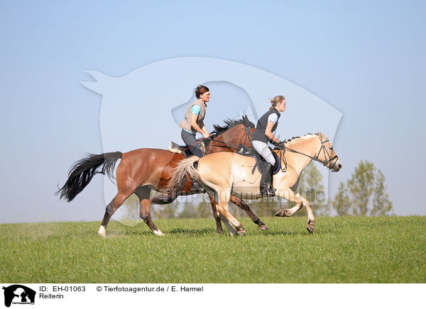 Reiterin / horsewoman / EH-01063