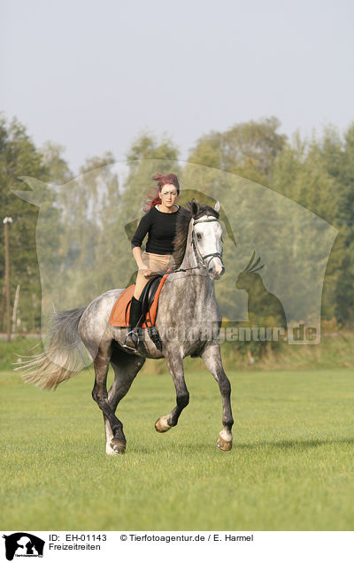 Freizeitreiten / EH-01143