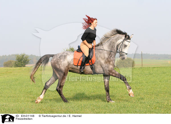 Freizeitreiten / EH-01148