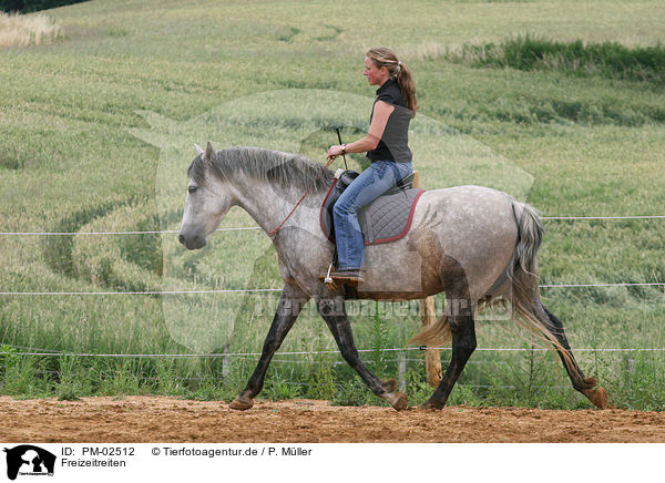 Freizeitreiten / riding woman / PM-02512