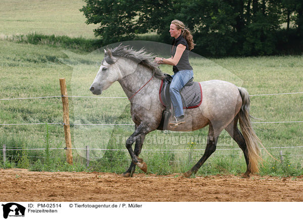 Freizeitreiten / riding woman / PM-02514