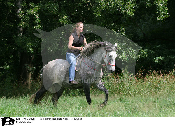 Freizeitreiten / riding woman / PM-02521