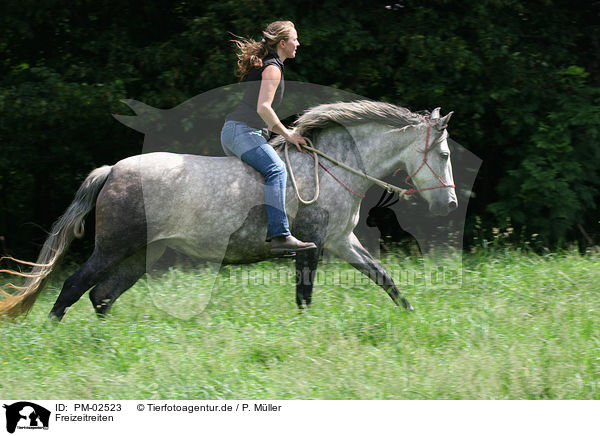 Freizeitreiten / riding woman / PM-02523