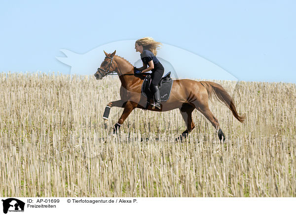 Freizeitreiten / riding woman / AP-01699