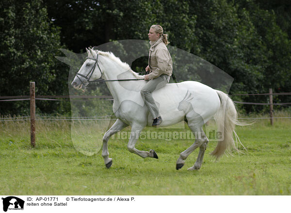 reiten ohne Sattel / riding without saddle / AP-01771