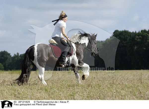 Frau galoppiert mit Pferd ber Weise / AP-01825