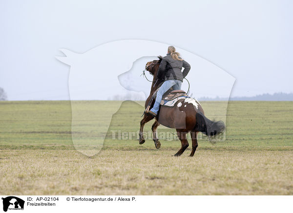 Freizeitreiten / riding woman / AP-02104
