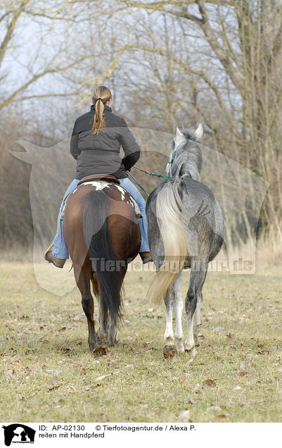 reiten mit Handpferd / riding with near horse / AP-02130