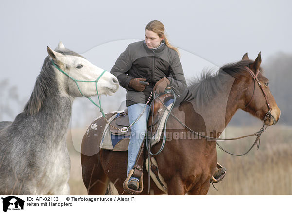 reiten mit Handpferd / riding with near horse / AP-02133
