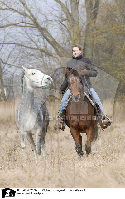reiten mit Handpferd / riding with near horse / AP-02137