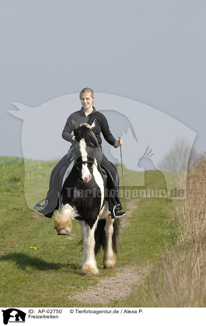 Freizeitreiten / riding woman / AP-02750