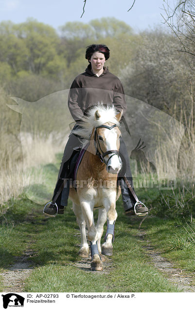 Freizeitreiten / rinding woman / AP-02793