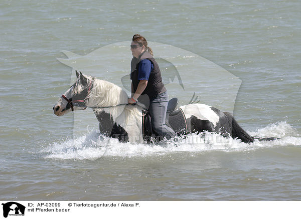 mit Pferden baden / bathing with horse / AP-03099