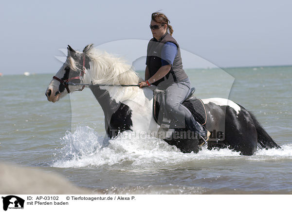 mit Pferden baden / bathing with horse / AP-03102