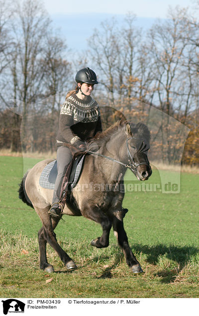 Freizeitreiten / riding woman / PM-03439