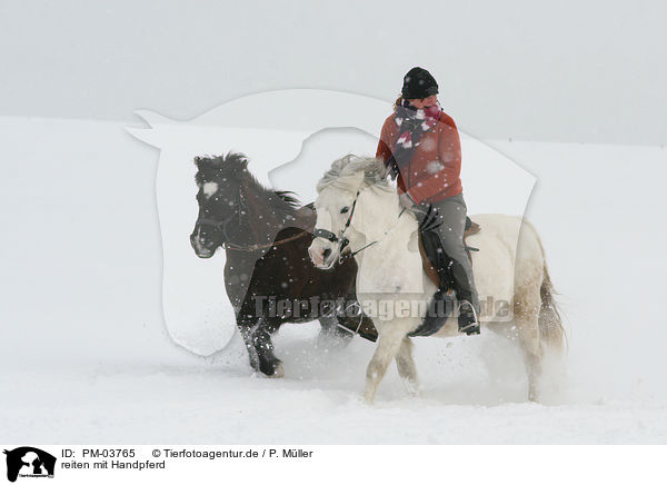 reiten mit Handpferd / riding woman / PM-03765