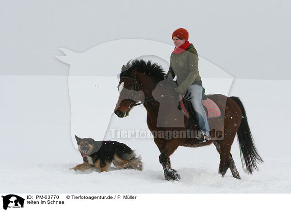 reiten im Schnee / PM-03770