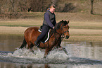 Deutsches Reitpony mit Reiterin