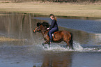 Frau reitet Islnder durchs Wasser