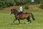 Frau reitet Deutsches Reitpony auf einer Wiese