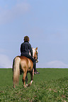 junge Frau mit Haflinger