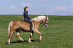 junge Frau mit Haflinger