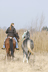 reiten mit Handpferd