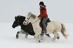 reiten mit Handpferd