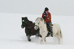 reiten mit Handpferd