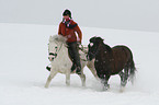 reiten mit Handpferd