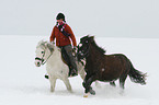 reiten mit Handpferd