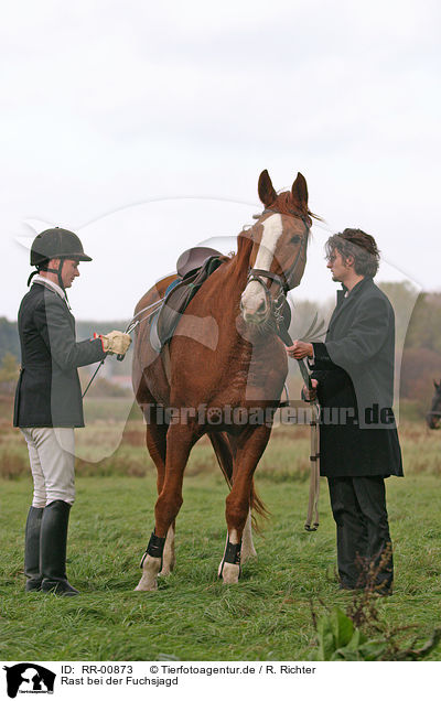 Rast bei der Fuchsjagd / break at fox hunting / RR-00873