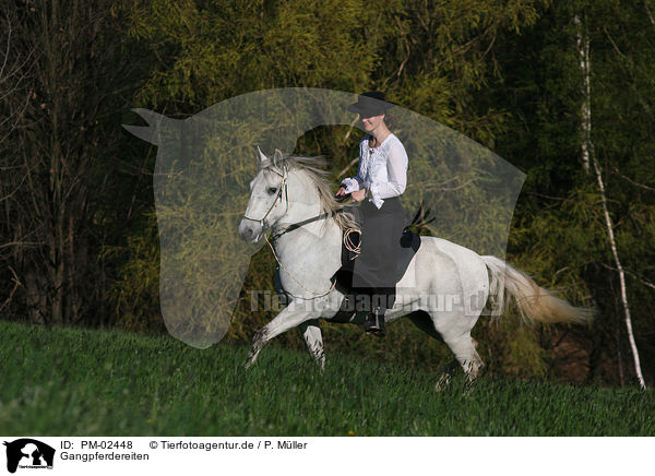 Gangpferdereiten / riding / PM-02448