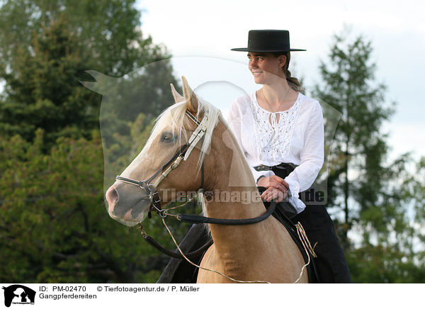 Gangpferdereiten / riding / PM-02470