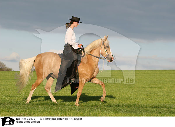 Gangpferdereiten / riding / PM-02473