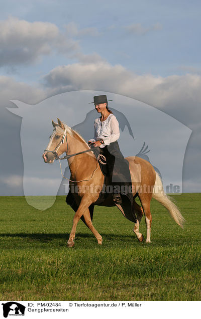 Gangpferdereiten / riding / PM-02484