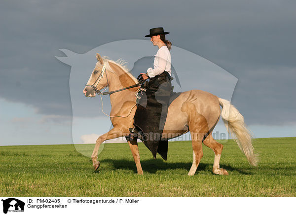 Gangpferdereiten / riding / PM-02485