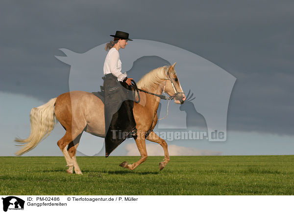 Gangpferdereiten / PM-02486