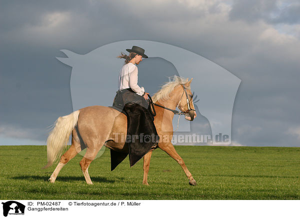 Gangpferdereiten / riding / PM-02487