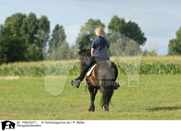 Gangpferdereiten / PM-03271