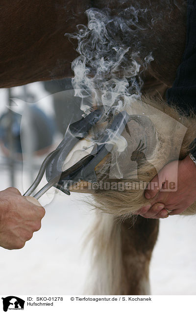 Hufschmied / farrier / SKO-01278